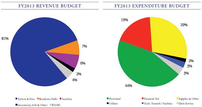 FY2013 Revenue and Expenditure Budget